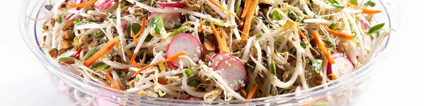 צילום של סלט נבטים